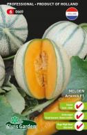 Melon “Artemis F1”