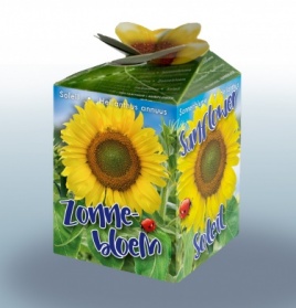 Greengift Tournesol