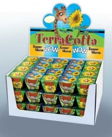 Showbox terracotta enfants