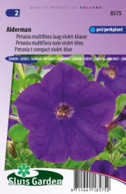 Petunia Alderman, violet bleu