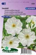 Petunia Snowball, Blanc pur