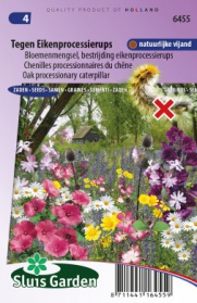 Chenilles processionnaires du chêne (graines de fleurs vivaces)