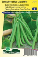 200 Graines Légumes Pois Desiree Violet-Type Env