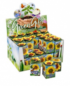 Greengift, Tournesol 40 pcs en Showbox