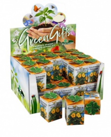 Greengift, Suzanne aux yeux noirs 40 pcs en showbox