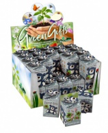 Greengift, Happy-Bear bleu 40 pcs en showbox