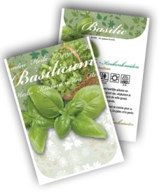 Basilic