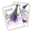 Lavande
