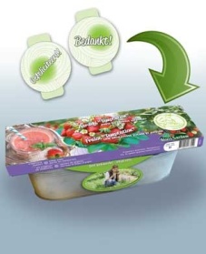 Kit Fraisier Temptation