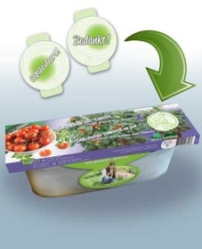 Kit Tomate Siderno F1 (pot)