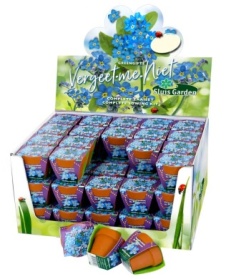 Terra Cotta Showbox  Ne-m'oubliez-pas 60x