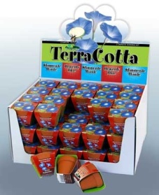 Terra Cotta Showbox Ipomée Heavenly Blue 60x