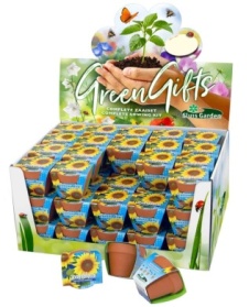 Terra Cotta Showbox Soleil grande jaune 60x