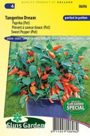 Piment à saveur douce Tangerina Dream (pot)