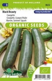 Courgette, Courge d'Italie Black Beauty