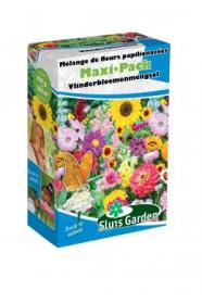 Mélange de fleurs Papilionacées Maxi-Pack