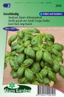 Basilic Grande vert