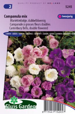 Campanule à grosses fleurs doubles Mix - Graines de fleurs bisannuelles -  Produits - Gardenseeds
