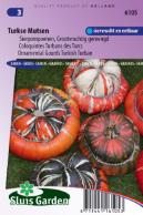 Cucurbita Coloquintes Turban des Turcs