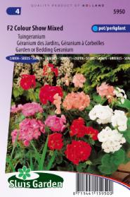 Géranium des Jardins F2 Colour Show Mix