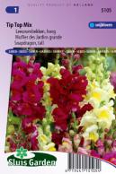 Muflier des Jardins Tip Top Mix