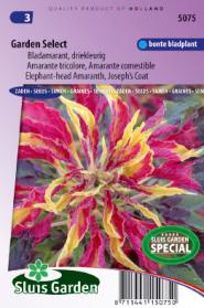 Amarante (tricolore) comestible Garden Select