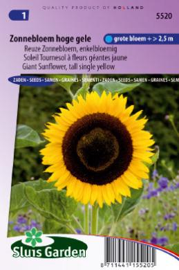 sunflower latin singles Start meeting singles in sunflower today with our free online personals and free 100% free online dating in sunflower, ms sunflower latin singles. sunflower latin singles Start meeting singles in sunflower today with our free online personals and free 100% free online dating in sunflower, ms sunflower latin singles.