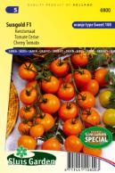 Tomate cerise Sungold F1